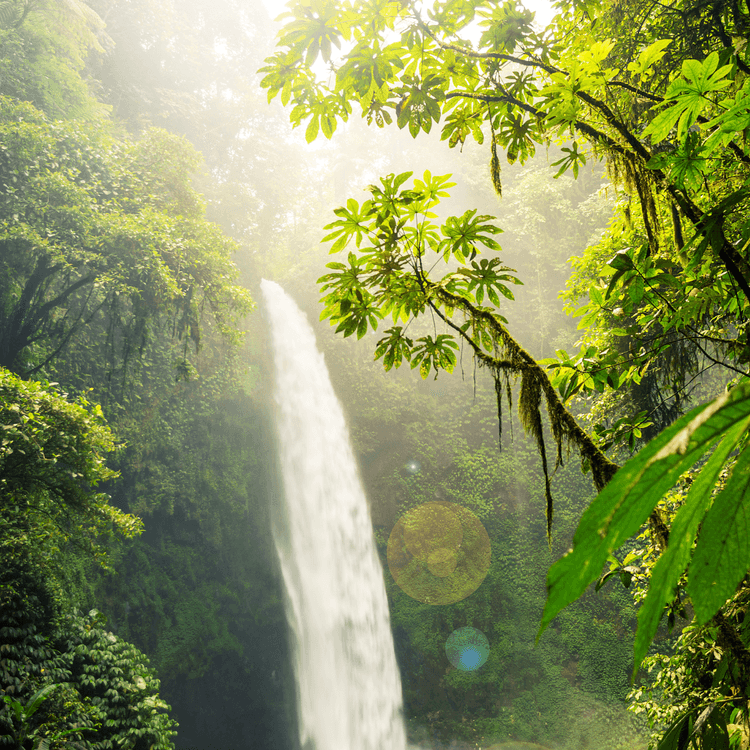 Wasserfall im Wald